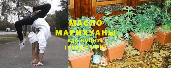 дмт Богородск