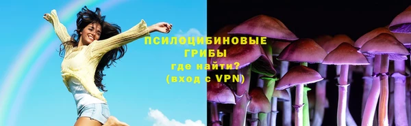 гидра Покровск