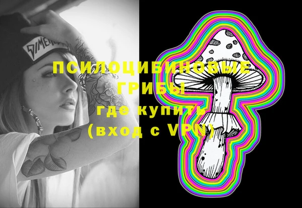 дмт Богородск