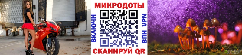 Псилоцибиновые грибы Psilocybine cubensis  mega зеркало  Плёс 