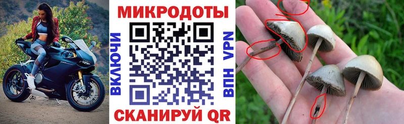 Галлюциногенные грибы MAGIC MUSHROOMS Плёс